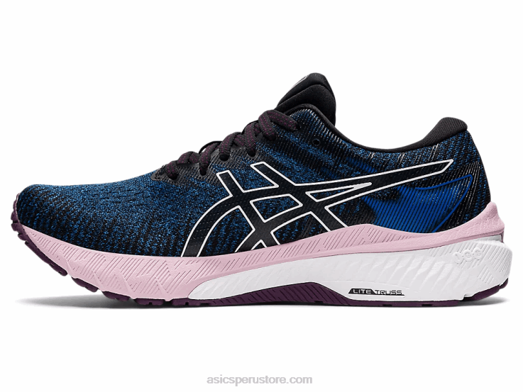 Asics gt-2000 10 RPVB3433 unidad de lago/blanco