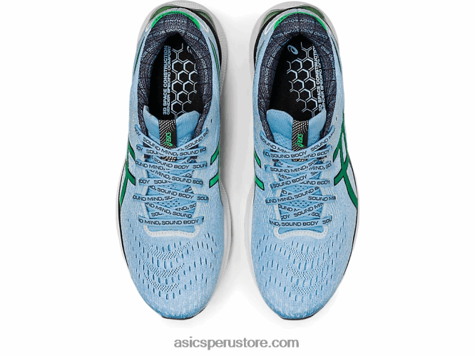 RPVB1014 cielo ártico/cilantro Asics gel-nimbus 24 edición limitada