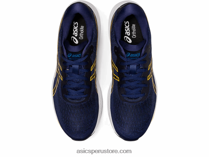 RPVB1041 océano profundo/ámbar Asics gel-excite 9