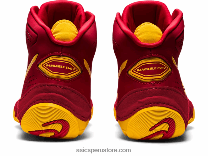 RPVB1118 arándano/azafrán Asics dan gable evo 2