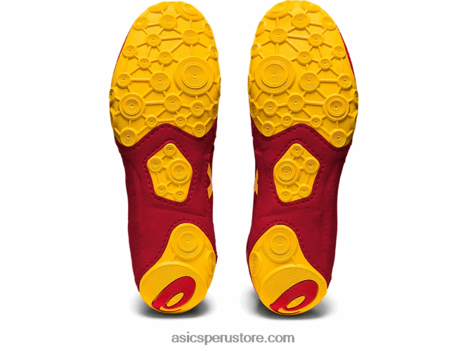 RPVB1118 arándano/azafrán Asics dan gable evo 2