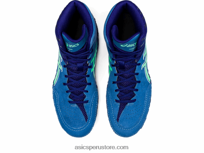 RPVB1126 azul/hoja nueva Asics agresor 5