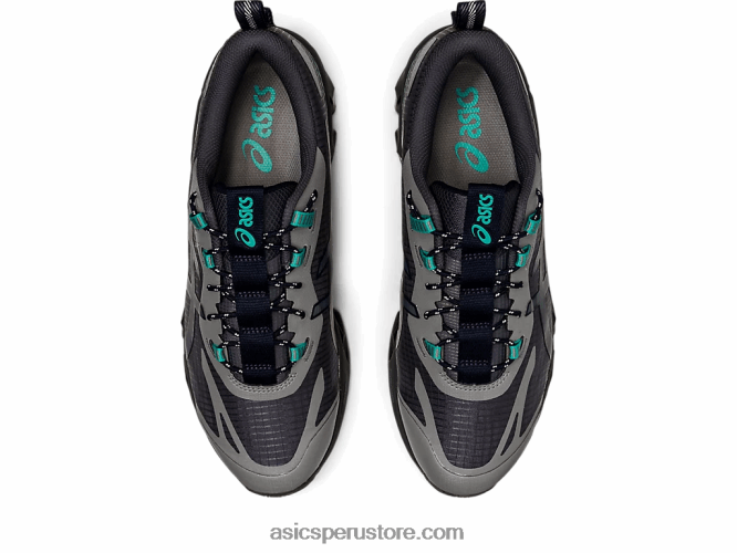 RPVB113 gris portador/cascada Asics gel-quantum 360 vii