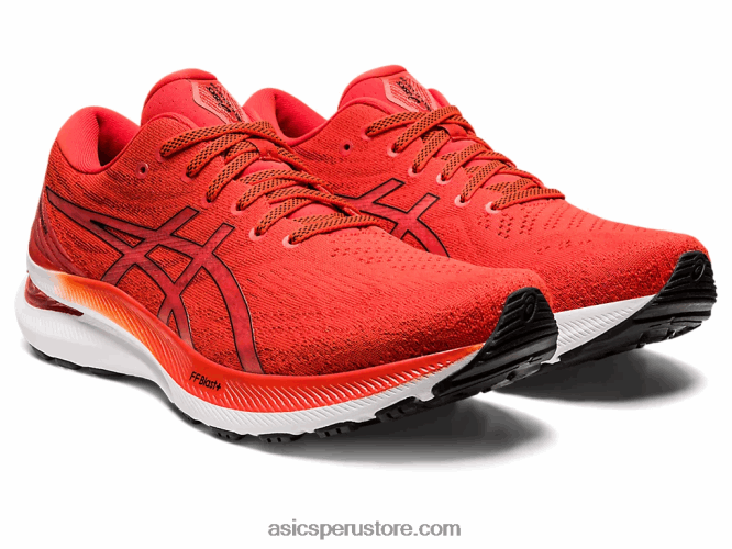 RPVB1183 tomate cherry/negro Asics gel-kayano 29