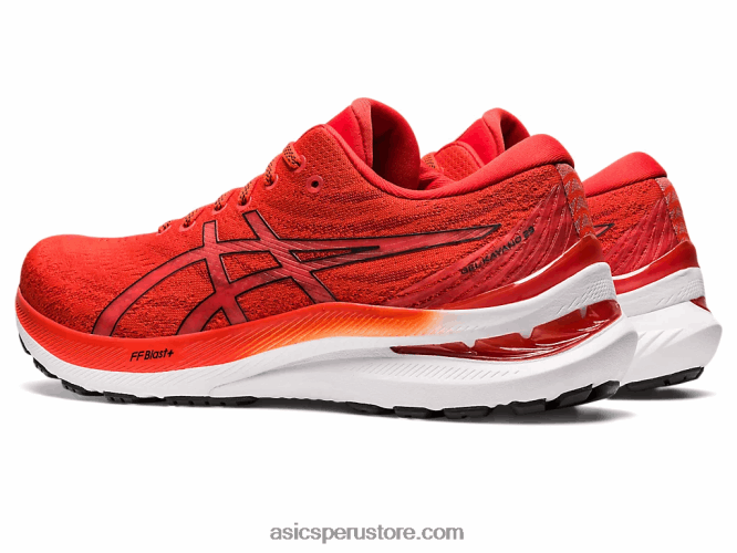 RPVB1183 tomate cherry/negro Asics gel-kayano 29