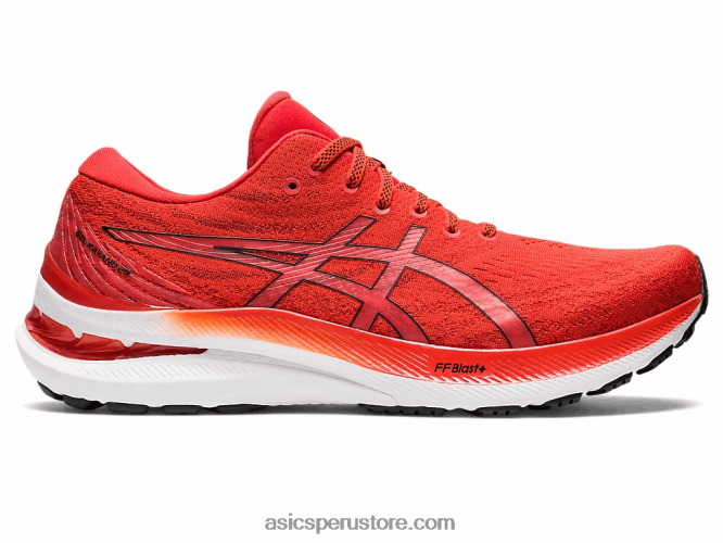 RPVB1183 tomate cherry/negro Asics gel-kayano 29