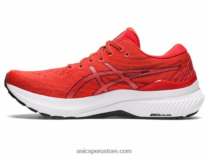 RPVB1183 tomate cherry/negro Asics gel-kayano 29