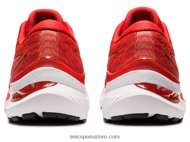 RPVB1183 tomate cherry/negro Asics gel-kayano 29