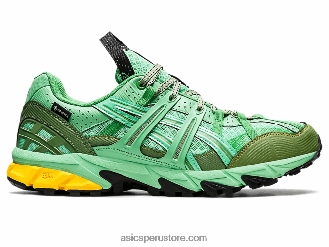 RPVB1248 ramo primaveral/grafito azul Asics hs4-s gel-sonoma 15-50 gtx