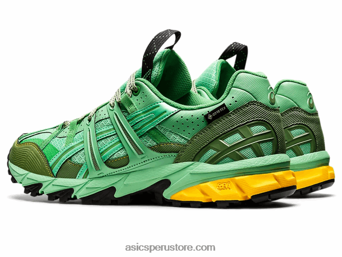 RPVB1248 ramo primaveral/grafito azul Asics hs4-s gel-sonoma 15-50 gtx