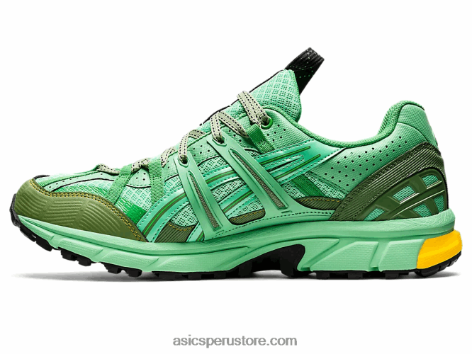 RPVB1248 ramo primaveral/grafito azul Asics hs4-s gel-sonoma 15-50 gtx