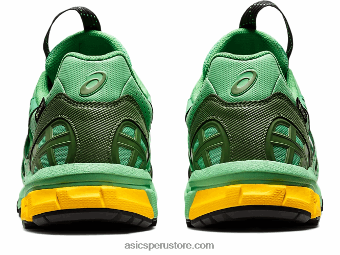 RPVB1248 ramo primaveral/grafito azul Asics hs4-s gel-sonoma 15-50 gtx