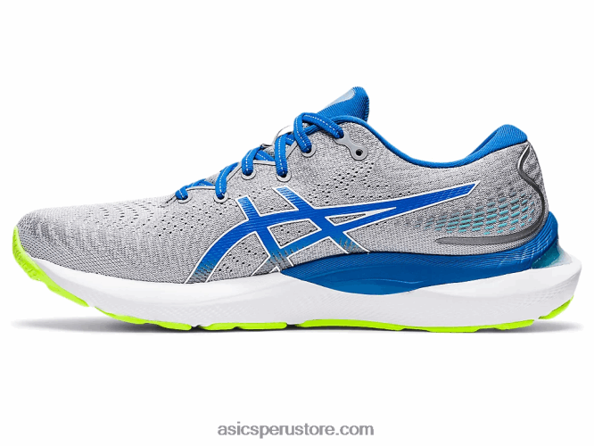 RPVB1310 disco de yeso/lago Asics cúmulo de gel 24