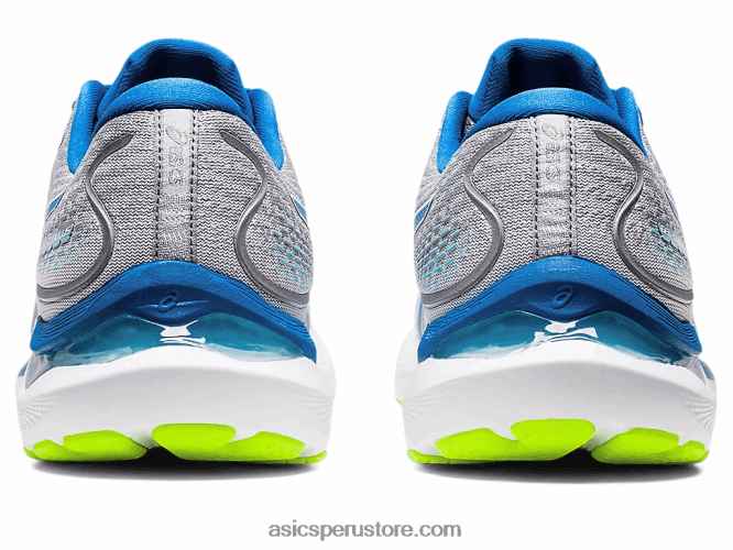 RPVB1310 disco de yeso/lago Asics cúmulo de gel 24