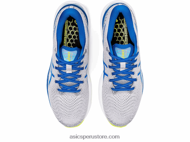 RPVB1310 disco de yeso/lago Asics cúmulo de gel 24