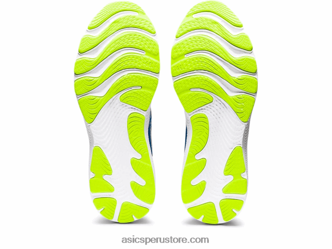 RPVB1310 disco de yeso/lago Asics cúmulo de gel 24