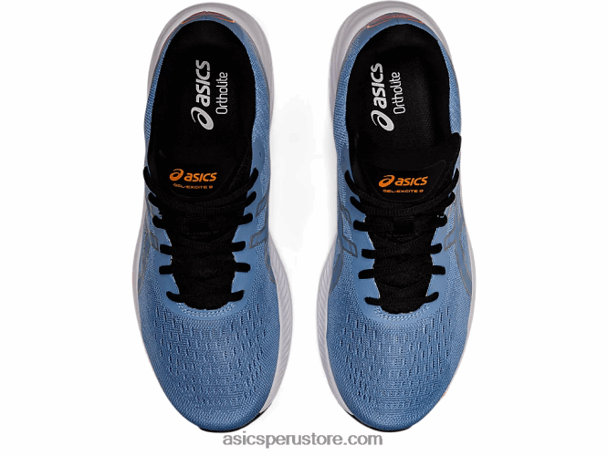 RPVB1329 dicha azul/plata pura Asics gel-excite 9