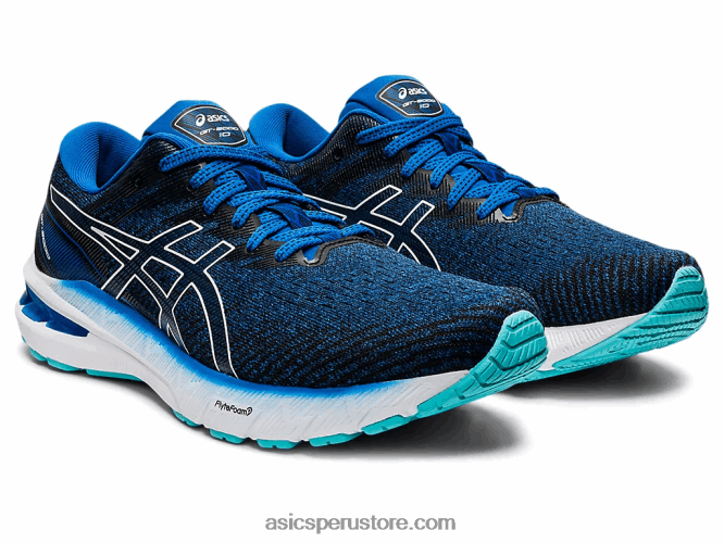 RPVB1465 unidad de lago/blanco Asics gt-2000 10