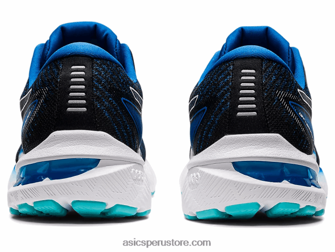 RPVB1465 unidad de lago/blanco Asics gt-2000 10