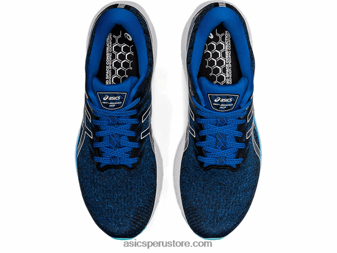 RPVB1465 unidad de lago/blanco Asics gt-2000 10