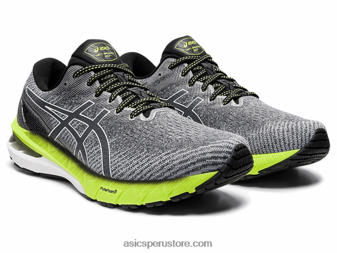 RPVB1475 portador gris/blanco Asics gt-2000 10