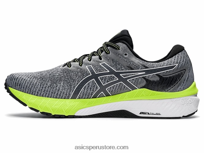 RPVB1475 portador gris/blanco Asics gt-2000 10