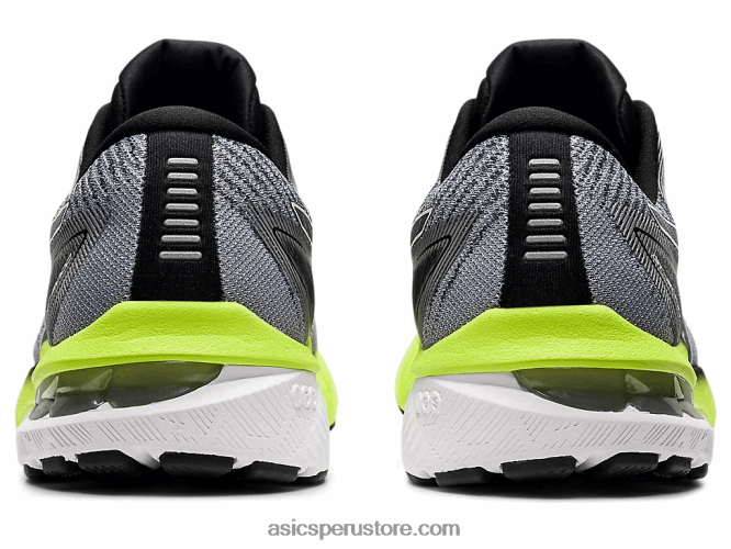 RPVB1475 portador gris/blanco Asics gt-2000 10