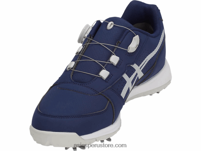 RPVB1543 chaquetón/gris glaciar Asics boa preinyectada en gel