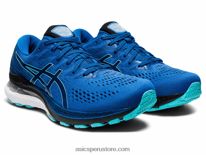 RPVB1547 unidad de lago/negro Asics gel-kayano 28