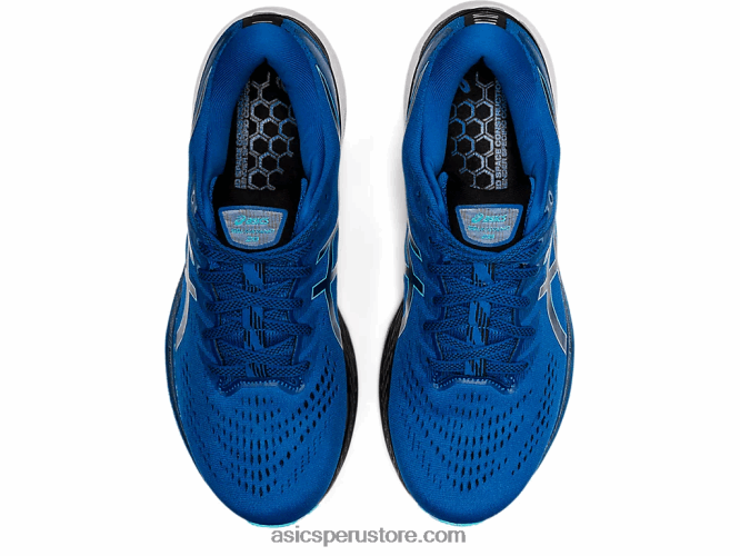 RPVB1547 unidad de lago/negro Asics gel-kayano 28