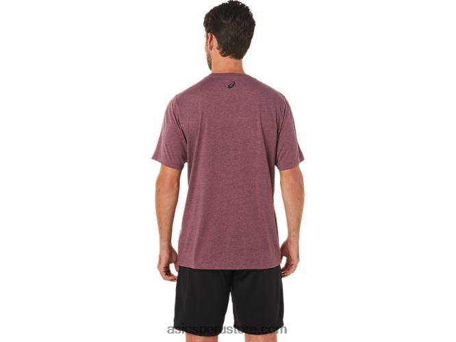 RPVB1643 Brezo profundo de Marte Asics playera de manga corta a rayas