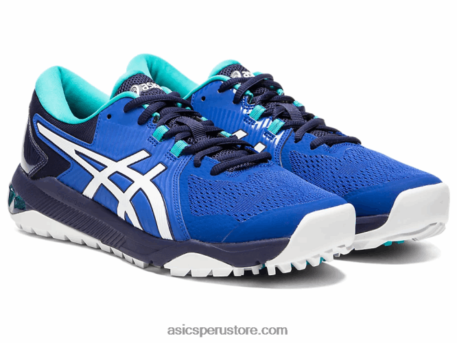 RPVB1990 azul blanco Asics gel-course glide hombres