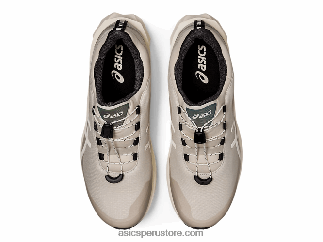 RPVB2021 humo gris Asics sps novablast