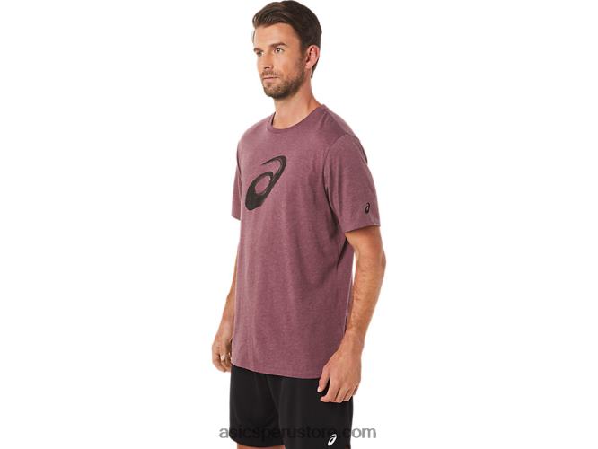 RPVB2078 Brezo profundo de Marte Asics camiseta manga corta pincel