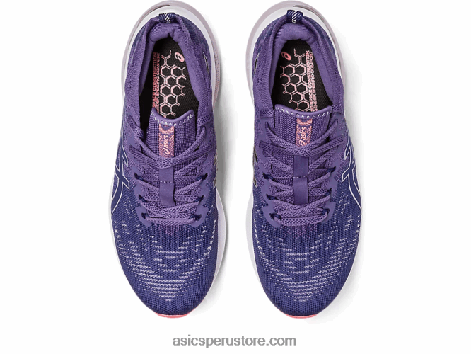 RPVB2197 azul índigo/plata pura Asics gt-2000 11 mk de punto