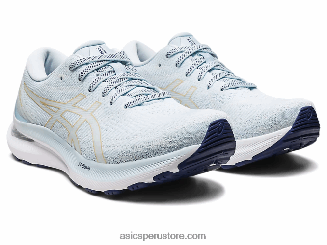 RPVB2384 cielo/champaña Asics gel-kayano 29