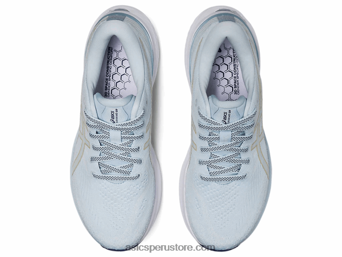 RPVB2384 cielo/champaña Asics gel-kayano 29