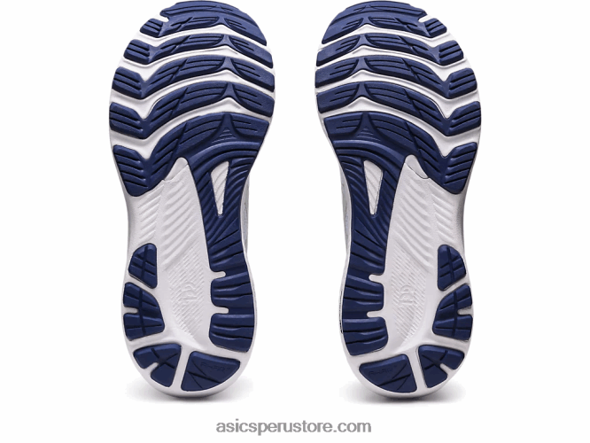 RPVB2384 cielo/champaña Asics gel-kayano 29