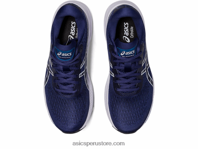 RPVB2398 azul índigo/cielo Asics gel-excite 9