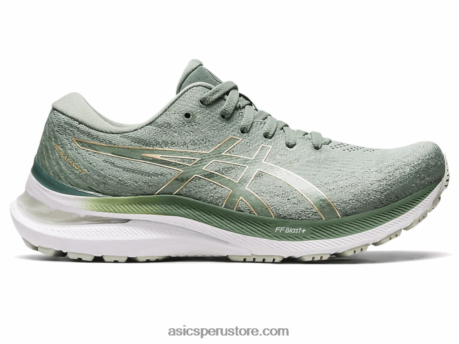 RPVB2399 gris pizarra/champán Asics gel-kayano 29