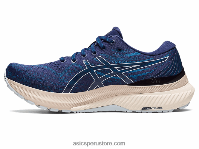 RPVB2406 azul índigo/cielo Asics gel-kayano 29