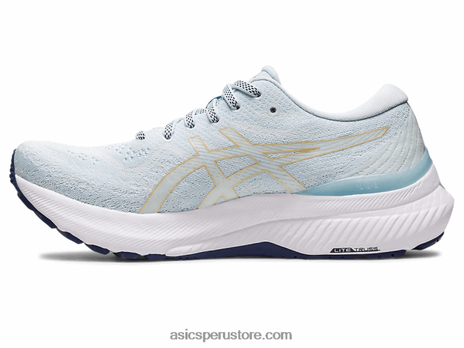 RPVB2407 cielo/champaña Asics gel-kayano 29 ancho