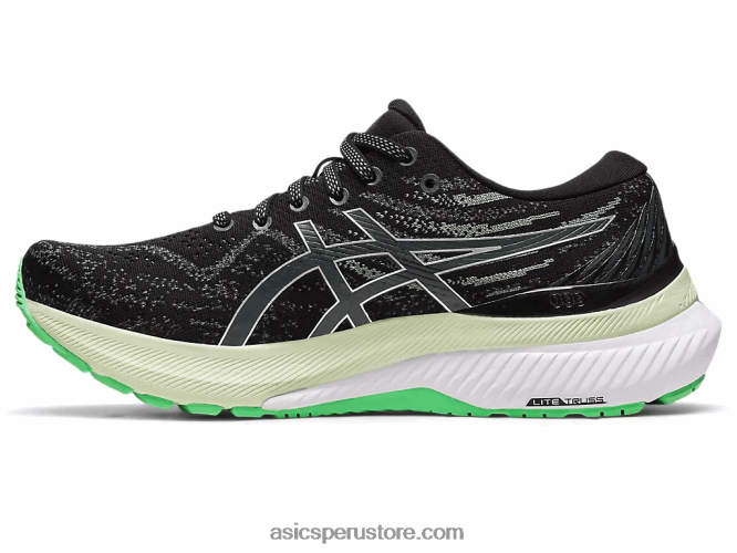 RPVB2436 negro/plata pura Asics gel-kayano 29