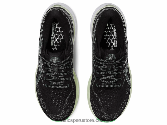 RPVB2436 negro/plata pura Asics gel-kayano 29