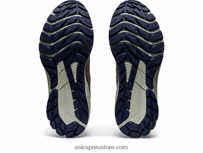 RPVB2438 baño de naturaleza/papaya Asics gt-1000 11 tr baño en la naturaleza