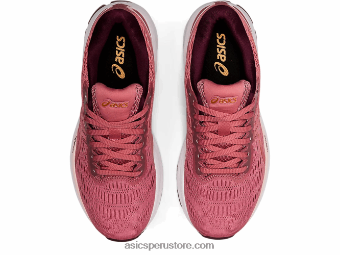 RPVB2609 rosa ahumado/bronce puro Asics gt-xpress 2