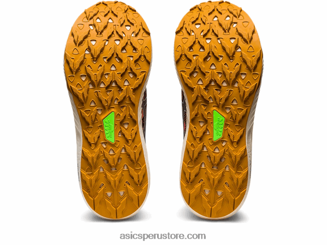 RPVB2629 papaya/salvia clara Asics fuji lite 3