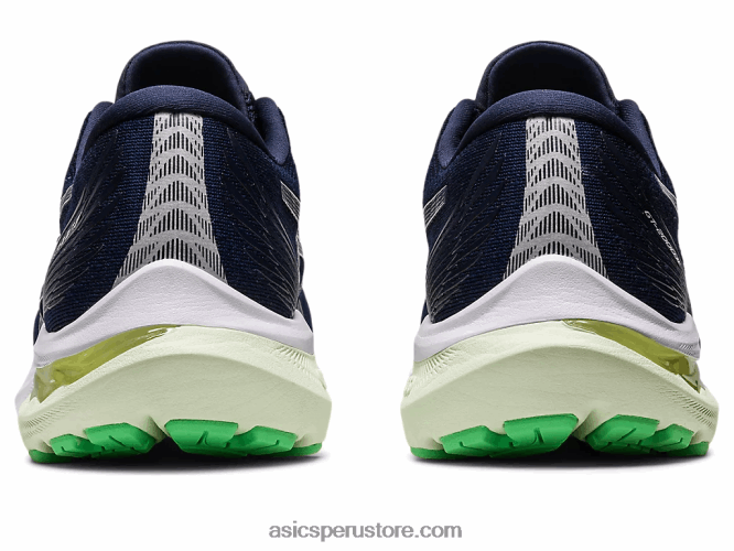RPVB2642 medianoche/verde susurro Asics gt-2000 11
