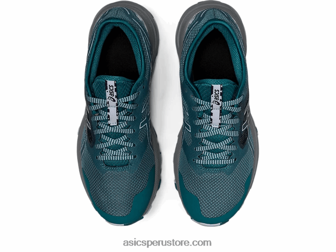 RPVB2851 pino brumoso/cielo suave Asics rastro de excitación de gel