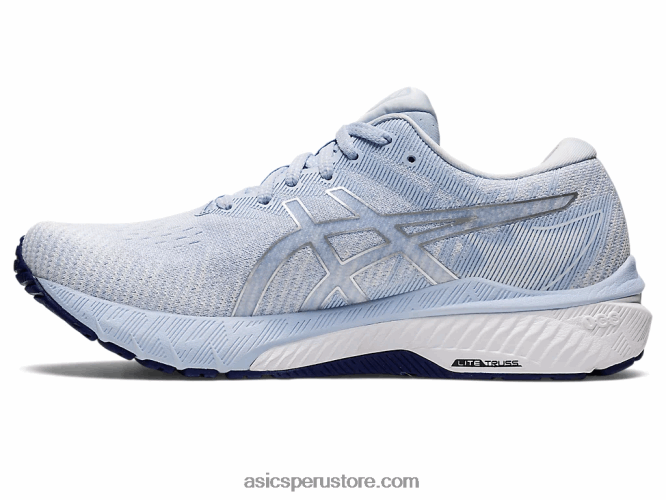 RPVB2853 cielo suave/plata pura Asics gt-2000 10